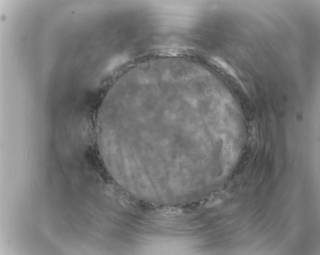 X0000087361446200705041843