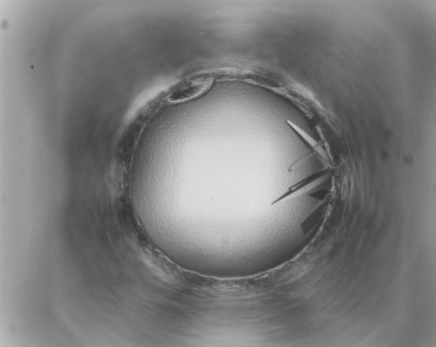 X0000087361448200705041843