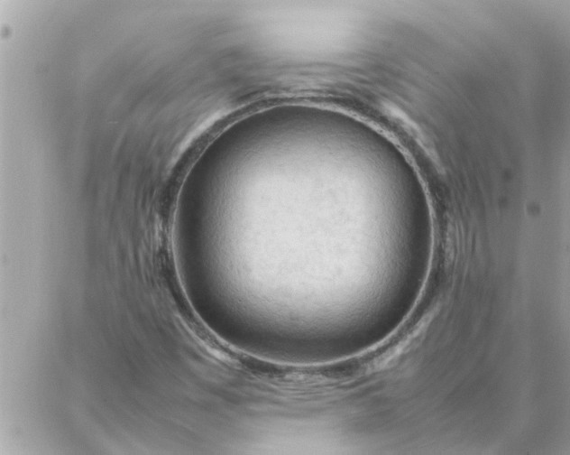 X0000087361449200705041843