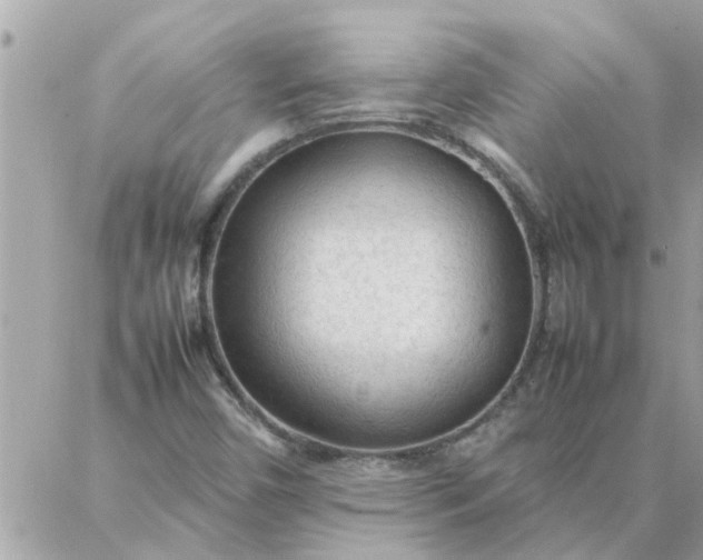 X0000087361450200705041843