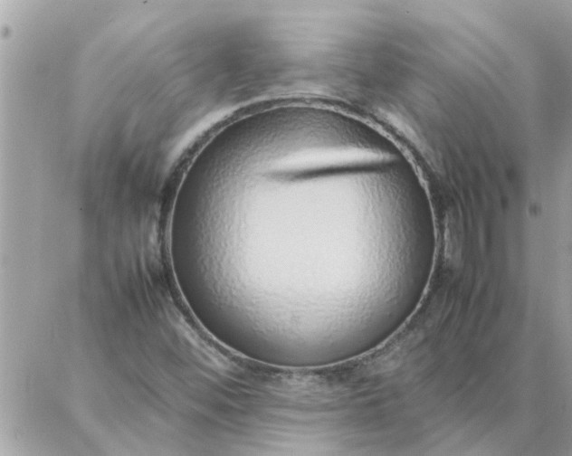 X0000087361452200705041843