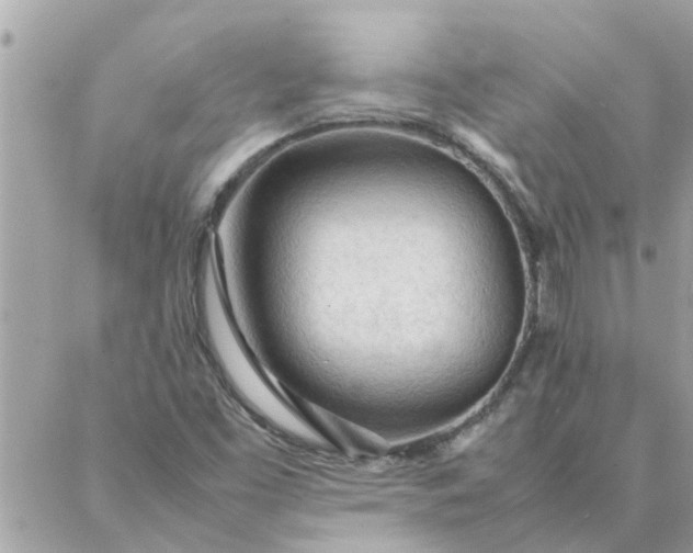 X0000087361453200705041843