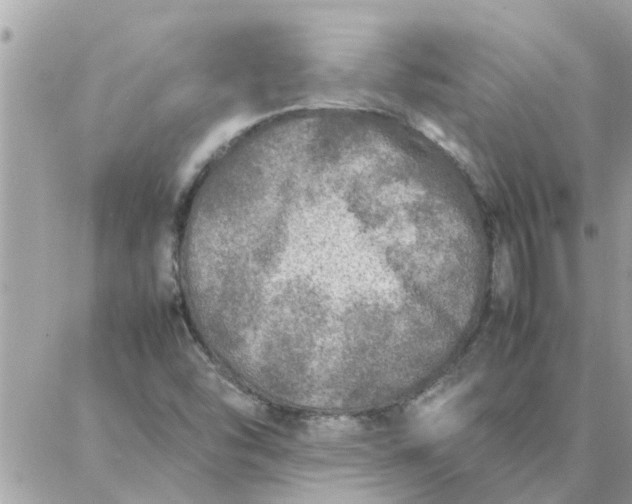 X0000087361454200705041843