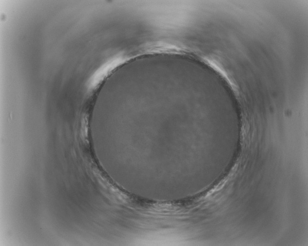 X0000087361455200705041843