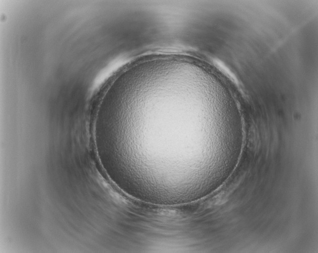 X0000087361456200705041843