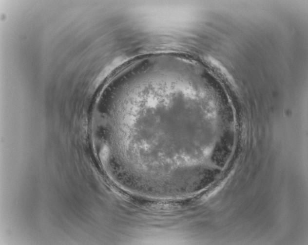 X0000087361457200705041843