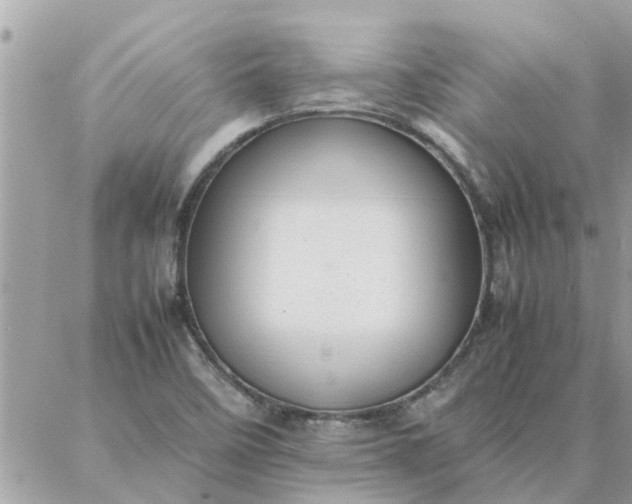 X0000087361458200705041843