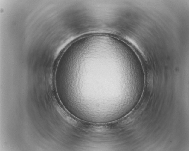 X0000087361460200705041843