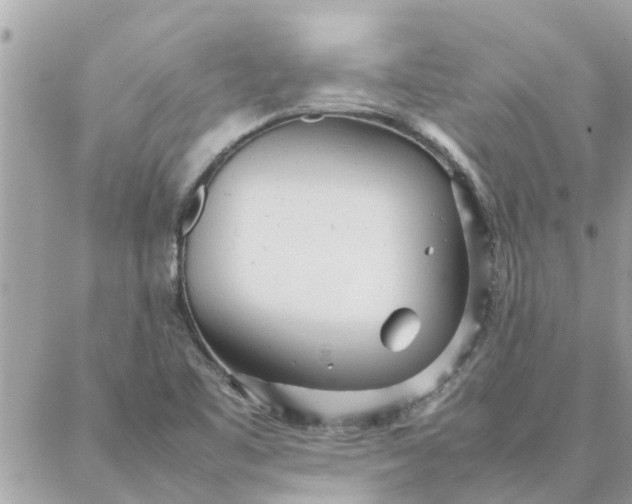 X0000087361461200705041843