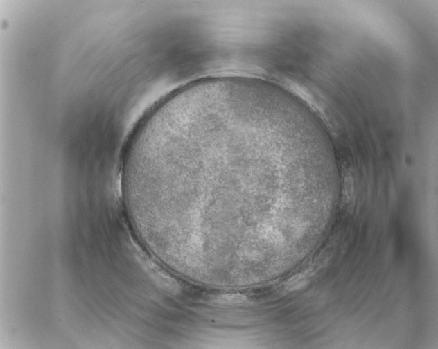 X0000087361462200705041843