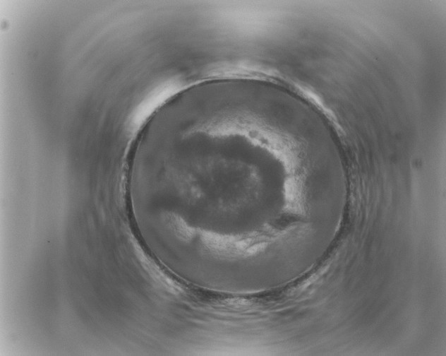 X0000087361463200705041843