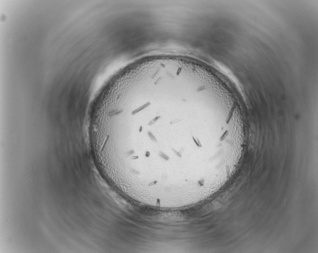 X0000087361464200705041843