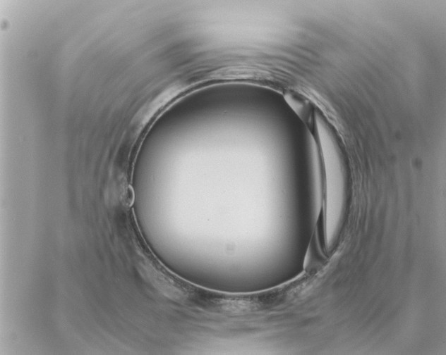 X0000087361465200705041843