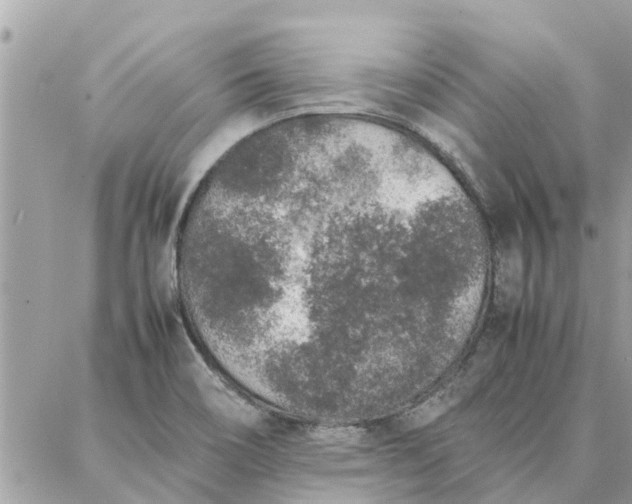 X0000087361466200705041843