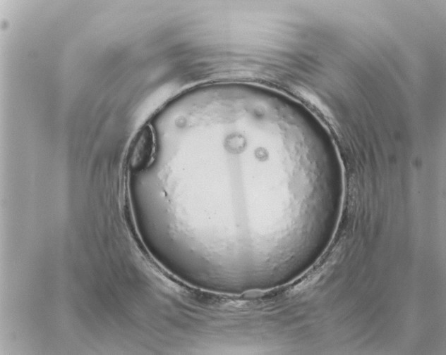 X0000087361467200705041843