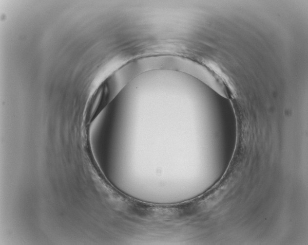 X0000087361469200705041843