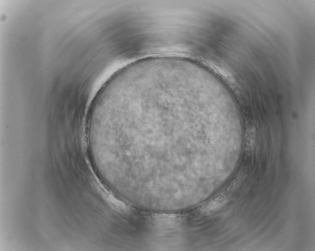 X0000087361470200705041843