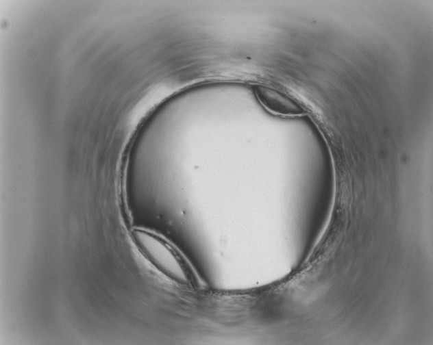 X0000087361471200705041843