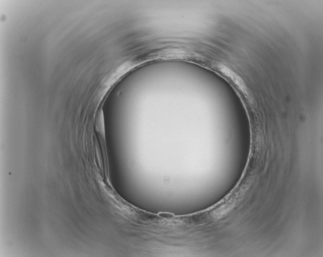 X0000087361473200705041843