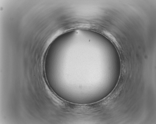 X0000087361475200705041843