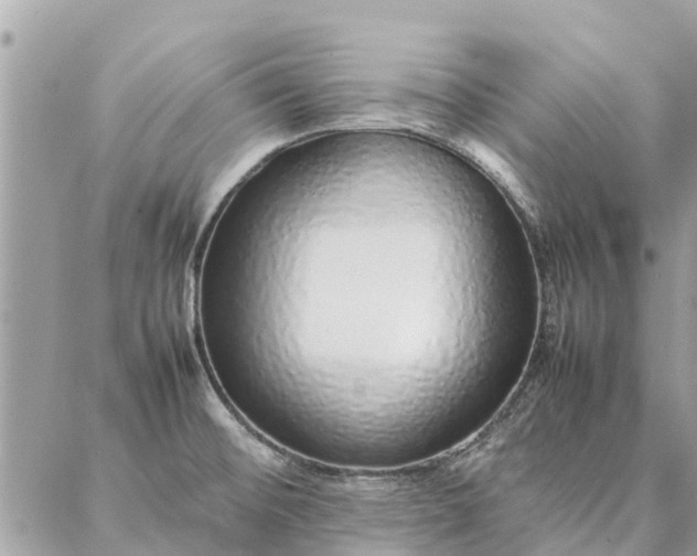 X0000087361476200705041843