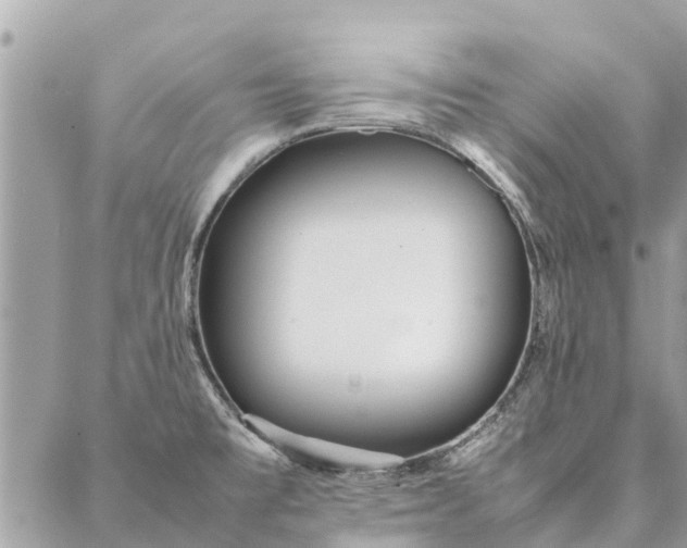 X0000087361477200705041843