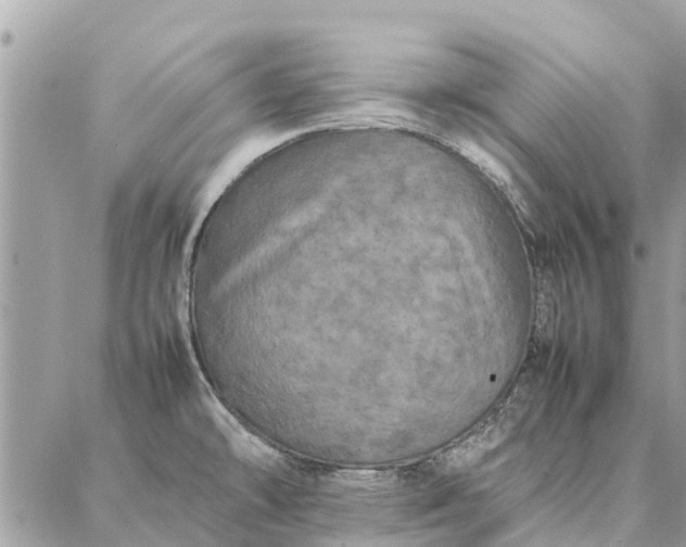 X0000087361478200705041843