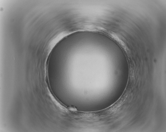 X0000087361479200705041843