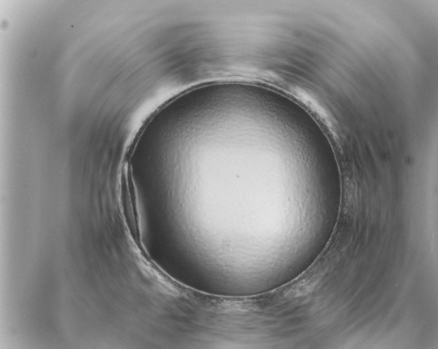 X0000087361480200705041843