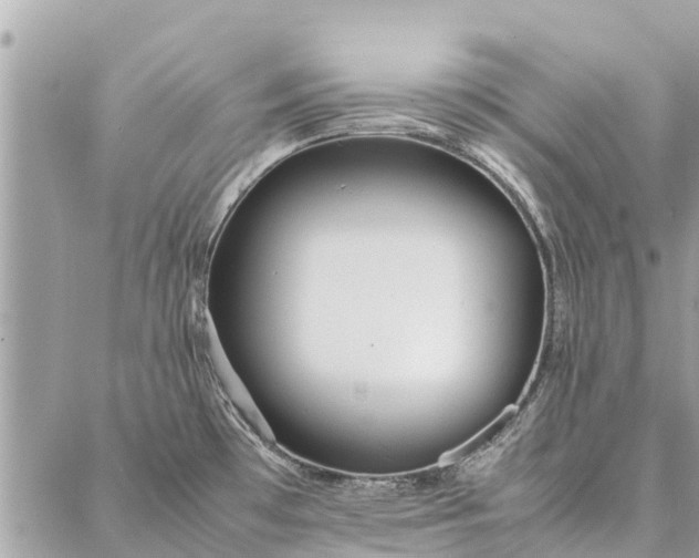 X0000087361481200705041843