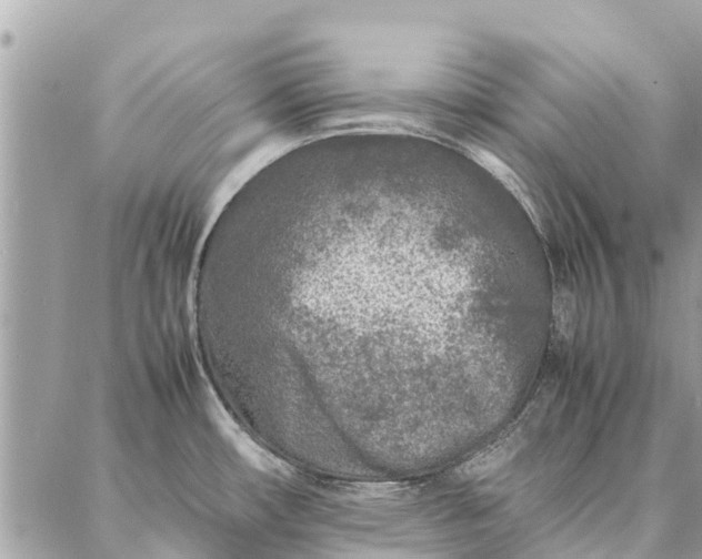 X0000087361482200705041843