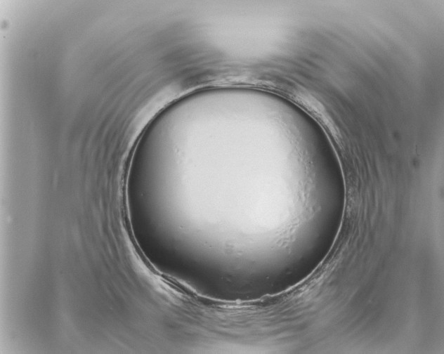 X0000087361483200705041843