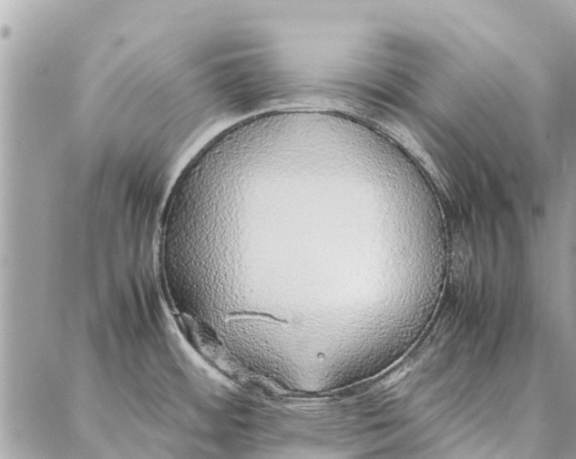 X0000087361484200705041843