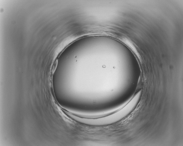 X0000087361485200705041843