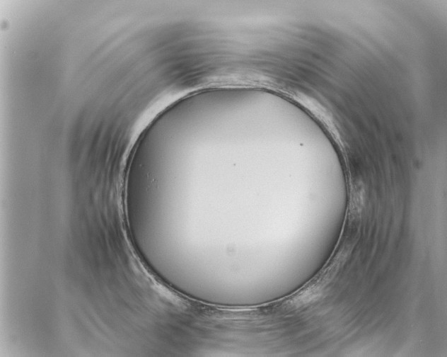 X0000087361486200705041843