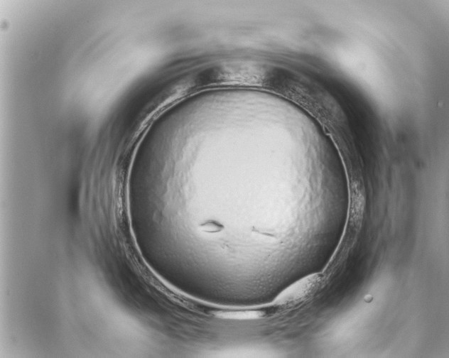 X0000087361487200705041842