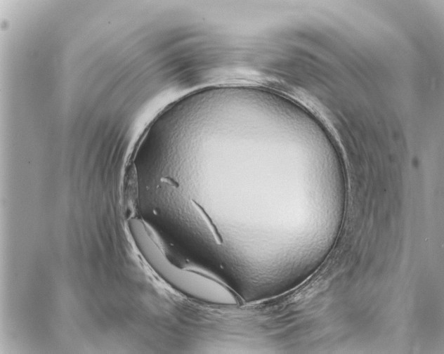 X0000087361488200705041842