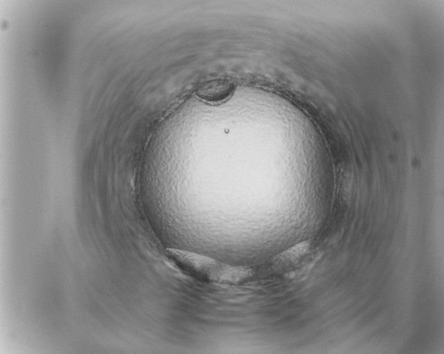 X0000087361489200705041842