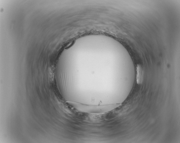 X0000087361491200705041842