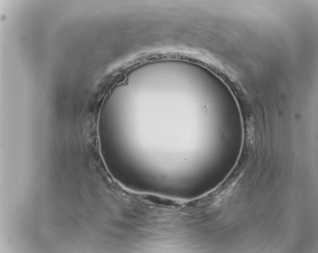 X0000087361494200705041842