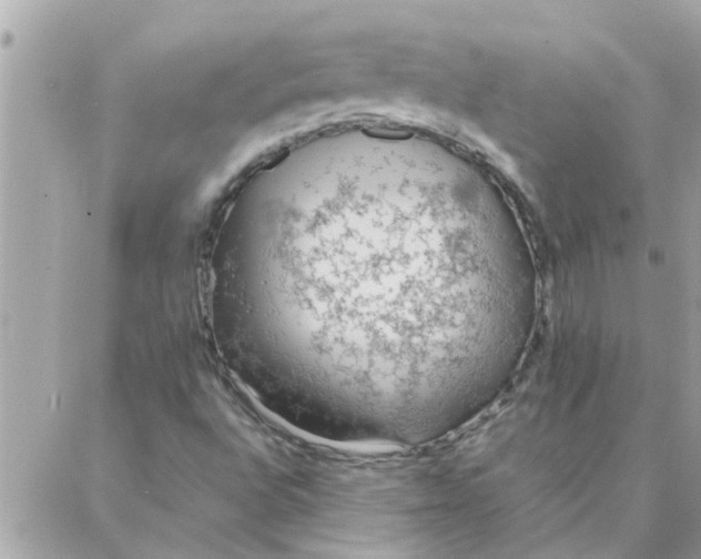 X0000087361496200705041842