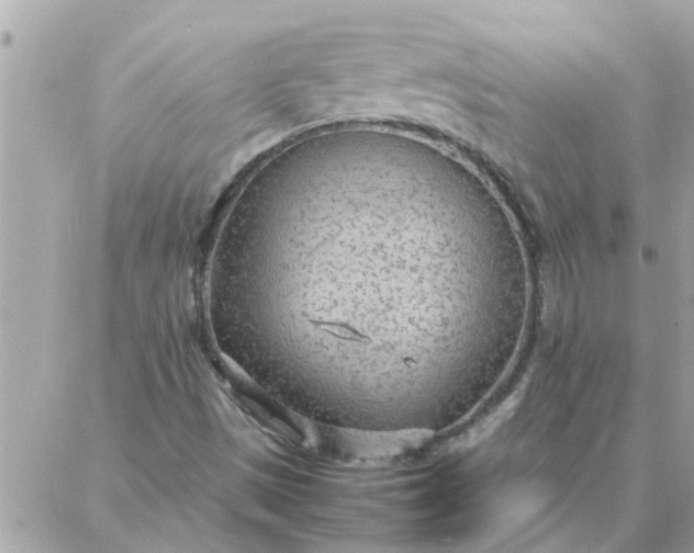 X0000087361497200705041842