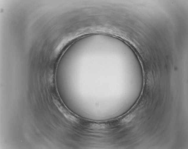 X0000087361499200705041842