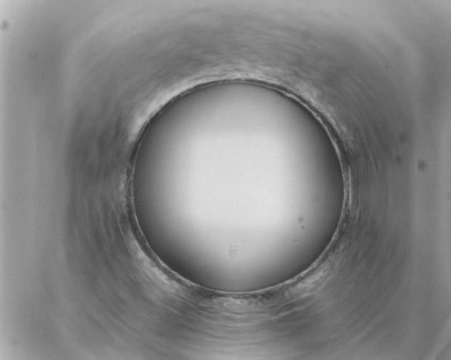 X0000087361500200705041842