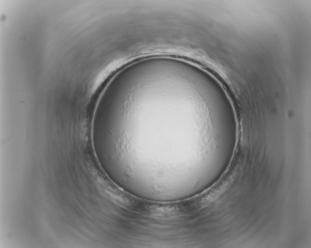 X0000087361501200705041842