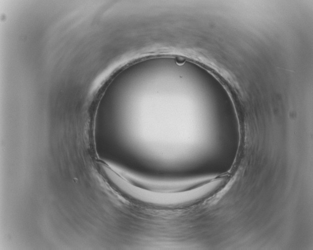 X0000087361502200705041842