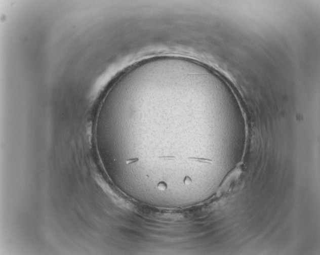 X0000087361503200705041842