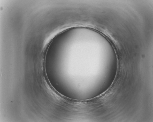 X0000087361504200705041842