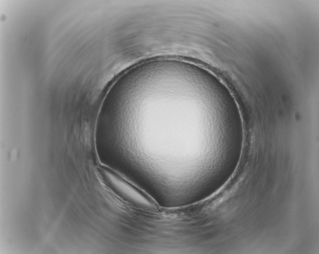 X0000087361505200705041842