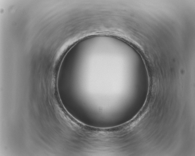 X0000087361506200705041842